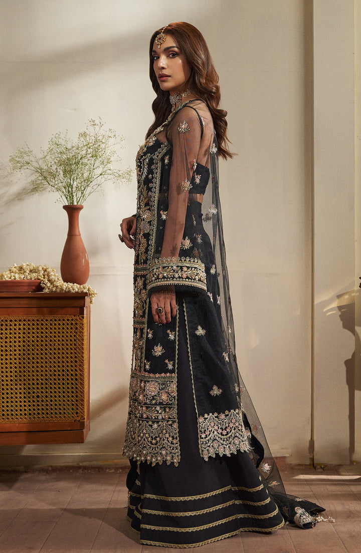 Opal Dress Beautiful net and raw silk outfit, side view | Fabiha Fatima